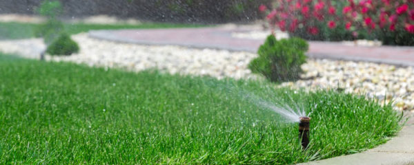 arrosage du jardin
