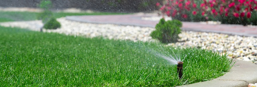 arrosage du jardin